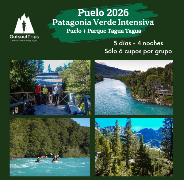 Patagonia Verde Intensiva